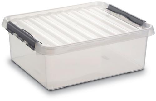 Conteneur de stockage gerbable transparent