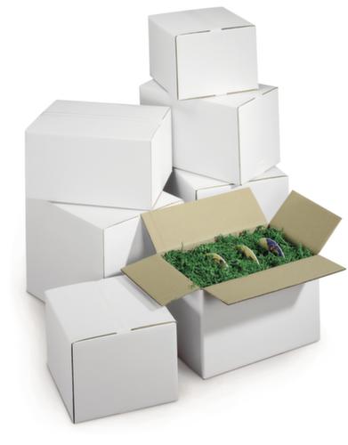 Caisse en carton ondulé blanc force 40 kg