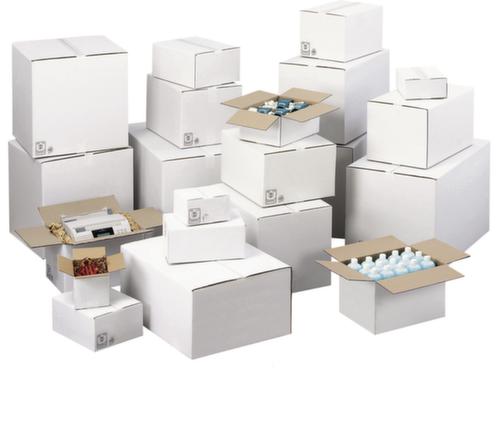 Caisse en carton ondulé blanc force 20 kg