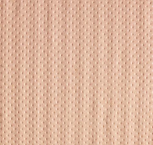 Rouleau de papier d'essuyage Eco pour usage quotidien