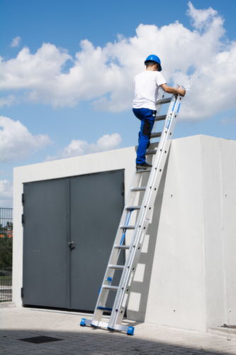 Krause Échelle polyvalente STABILO® Professional +S avec échelons et marches, 2 x 12 échelons et marches profilés antidérapants
