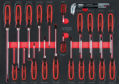 KS Tools Jeu de tournevis SCS