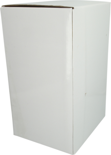 Brilliant Tools Remplissage d'huile de boîte de vitesses avec adaptateur