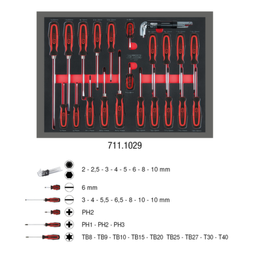 KS Tools Jeu de tournevis SCS