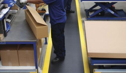 Tapis anti-fatigue Alkmaar avec surface Dyna Shield™