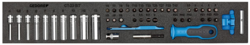 1500 CTD-20 BIT Assortiment de douilles 1/4" dans le module Check-Tool