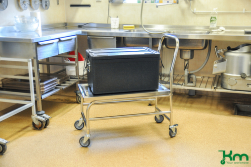 Kongamek Chariot avec barre de poussée en acier inoxydable, force 100 kg, plateau longueur x largeur 735 x 390 mm