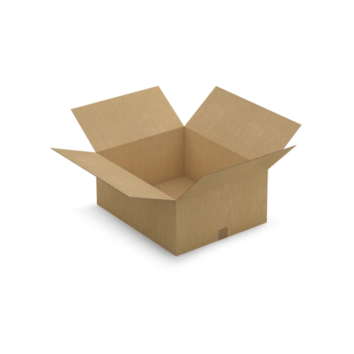 Caisse carton brune RAJA