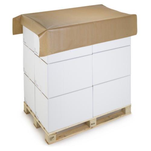 Coiffe-palette papier en rouleau RAJA