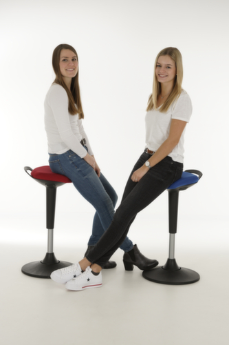 Lotz Multibewegliche Stehhilfe, Sitzhöhe 600 - 860 mm, Sitz schwarz