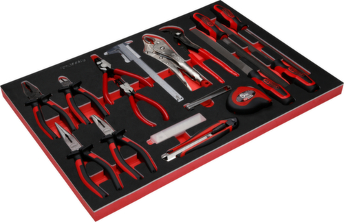 KS Tools Zangen- / und Feilen-Satz in Schaumstoffeinlage