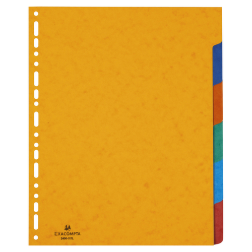 Register Maxi Karton 6 Blätter