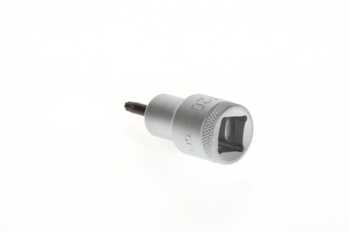 ITX 19 T20 Embout de tournevis 1/2" TX T20