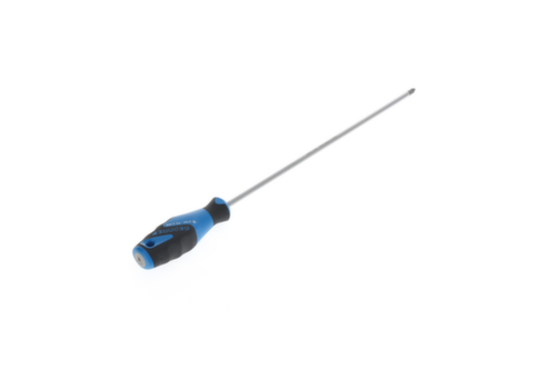 2160 PZ 2-300 Tournevis 3C