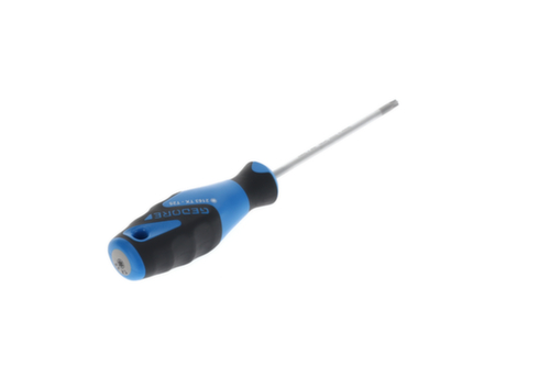 2163 TX T25 Tournevis 3C TX T25