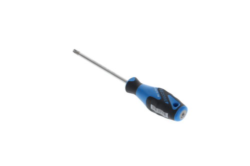 2163 TX T40 Tournevis 3K TX T40