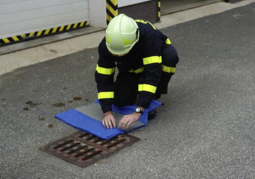 Denios Tapis d’étanchéité jetable