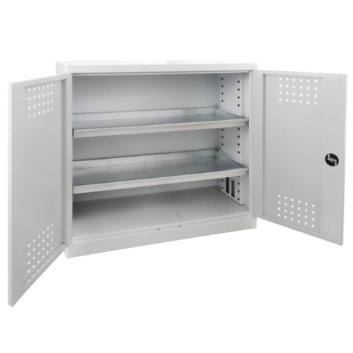 Armoire pour produits dangereux avec tablettes de rétention, hauteur x largeur x profondeur 1000 x 1000 x 500 mm