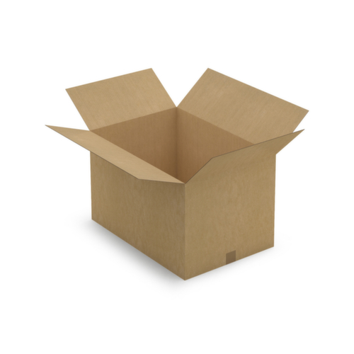 Caisse carton brune RAJA