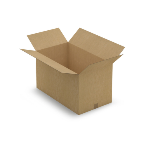 Caisse carton brune RAJA