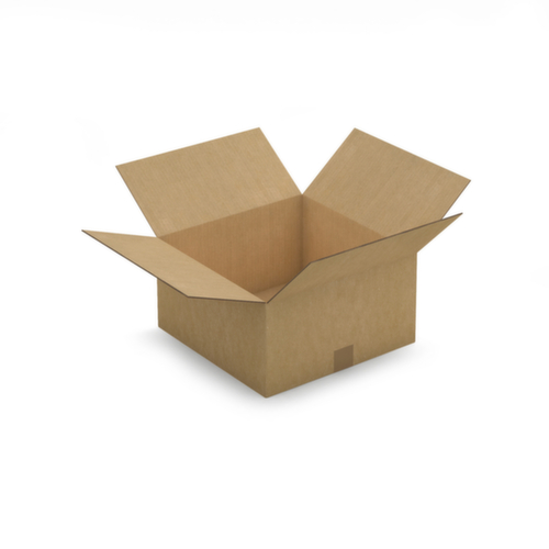 Caisse carton brune RAJA