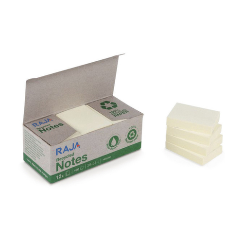 Notes 100 % recyclées RAJA