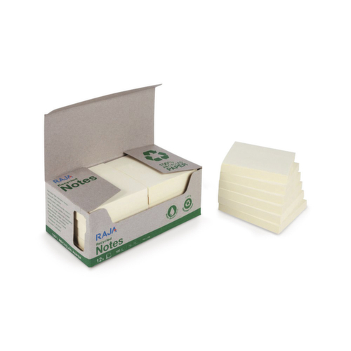 Notes 100 % recyclées RAJA
