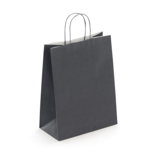 Sac kraft à poignée torsadée RAJA