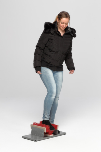 Schuhreiniger mit Bürstenstreifen, Tränenblech, Höhe x Breite x Tiefe 170 x 590 x 290 mm Milieu 1 L