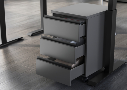 Rollcontainer 4039 Milieu 2 L