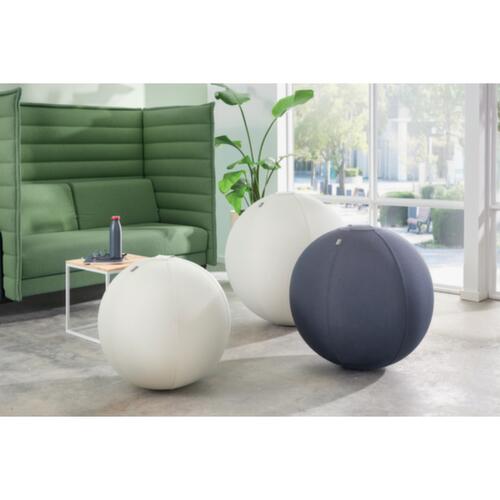 Leitz Sitzball Active Milieu 2 L