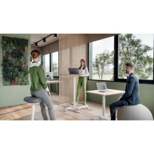 Leitz Sitz-Steh-Hocker Ergo Active Milieu 2 L