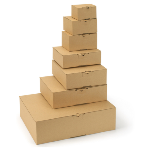 Postkarton Automatikboden 430 x 305 x 115 mm Standard 1 L