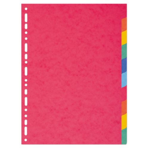 Register Standard Karton 10 Blätter Standard 1 L