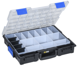 Sortimentskoffer für Kleinteile mit 19 Fächern