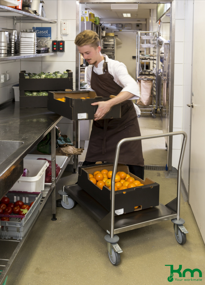 Kongamek Edelstahl-Schiebebügelwagen Milieu 1 ZOOM
