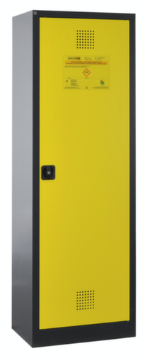 Lacont Armoire pour produits dangereux storeLAB