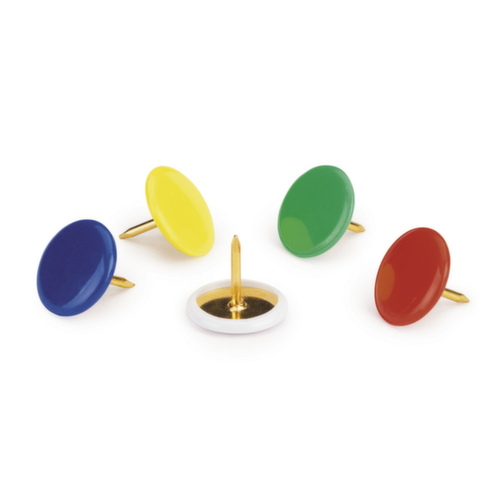 100 punaise tête plate RAJA  L