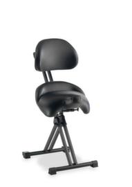 meychair Aide permanente XXL pliable Assistent Futura AF-SR, hauteur d’assise 590 - 730 mm, assise noir