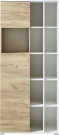 Armoire combinée GW-LIONI