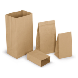250 sacs papier brun