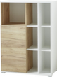 Armoire combinée GW-LIONI  S