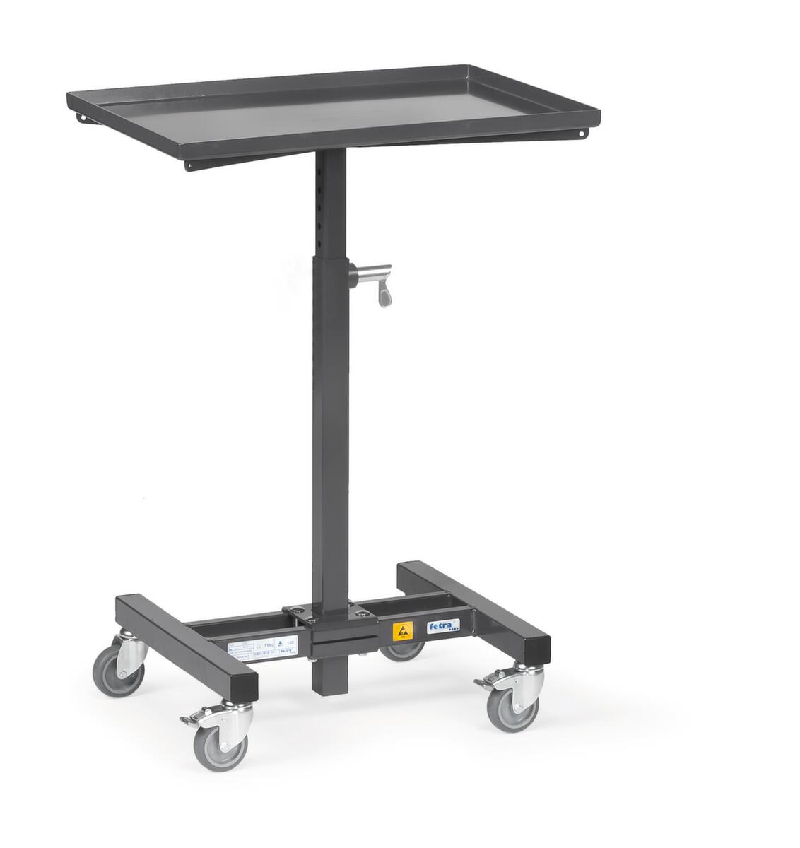 fetra Servante d’atelier ESD  ZOOM