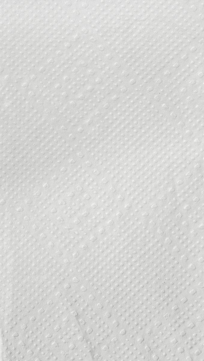 Essuie-mains en papier Eco en papier-serviette avec pliage en W, cellulose  ZOOM