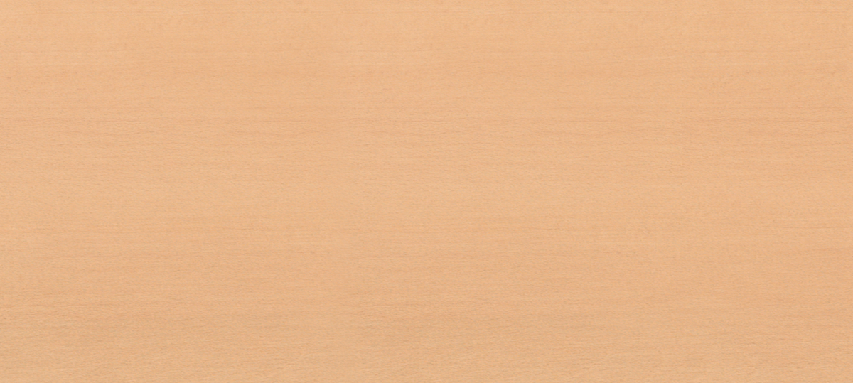 KRAFTWERK® Top en bois pour servante d'atelier BT1100