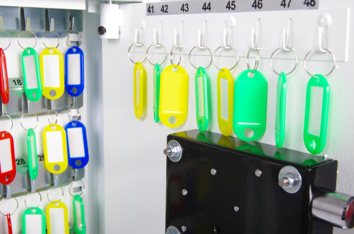 Phoenix Safe armoire à clés CYGNUS Missing translation ZOOM