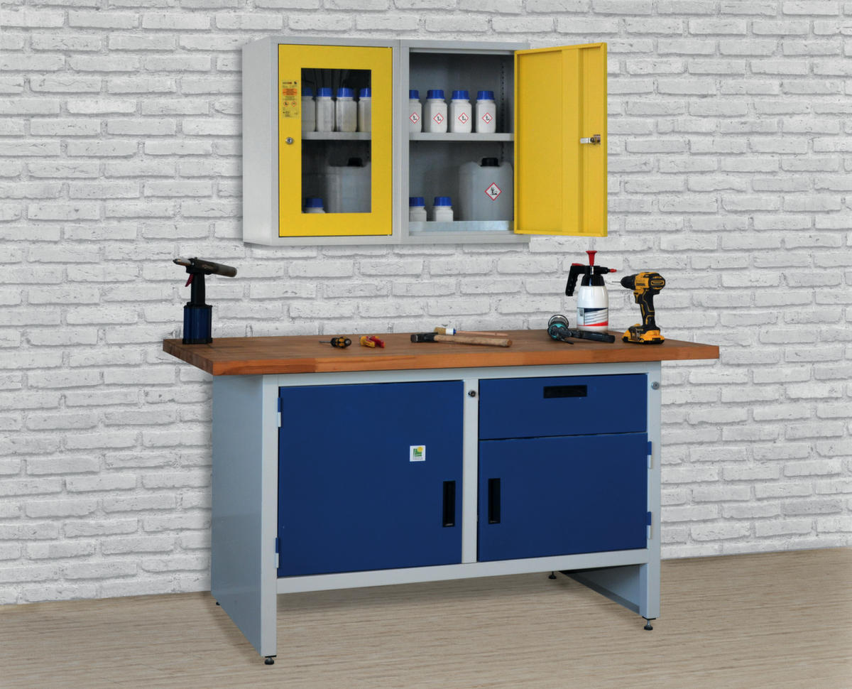 Lacont armoire murale de protection de l’environnement storeLAB en acier  ZOOM